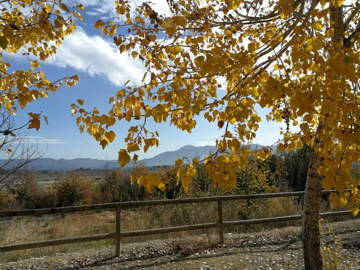 Casa Rural L'Avia Tica ξενώνας Benissuera Εξωτερικό φωτογραφία